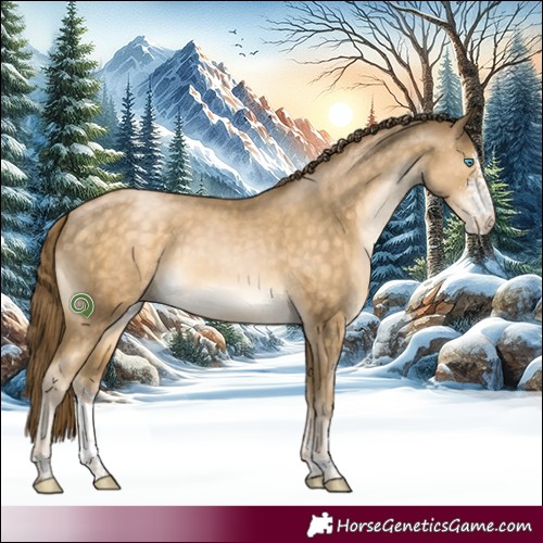 Horse Color:Buckskin Pearl Sabino 