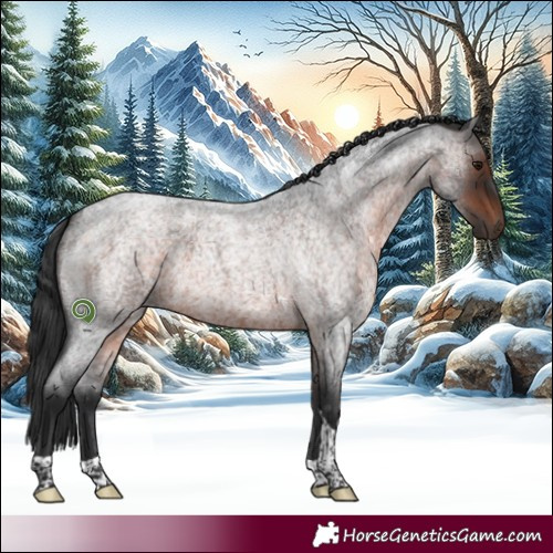 Horse Color:Brown Roan Tobiano 