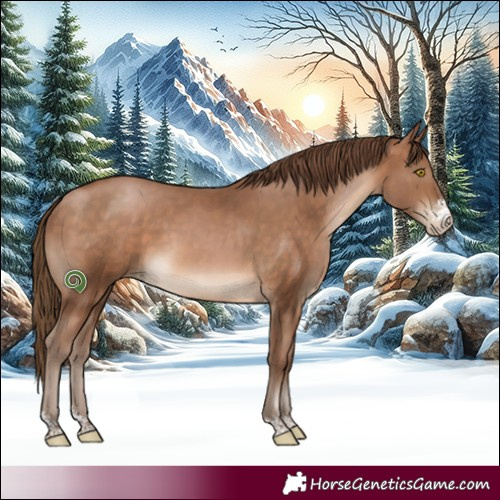 Horse Color:Brown Pearl Sabino