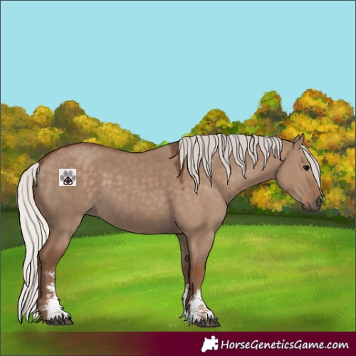 Horse Color:Silver Grullo Sabino 