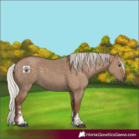 Horse Color:Silver Grullo Sabino 