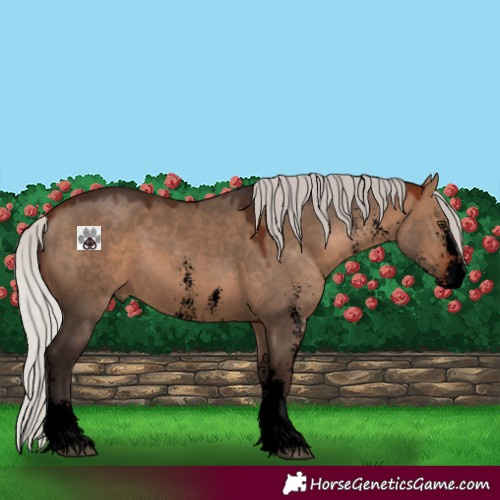 Horse Color:Void Silver Brown Dun Sabino 