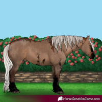 Horse Color:Void Silver Brown Dun Sabino