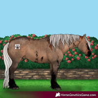 Horse Color:Void Silver Brown Dun Sabino