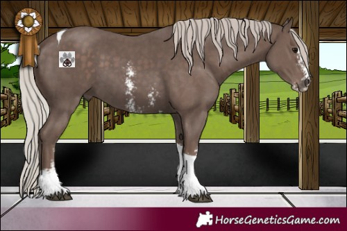 Horse Color:Silver Black Sabino Tobiano 