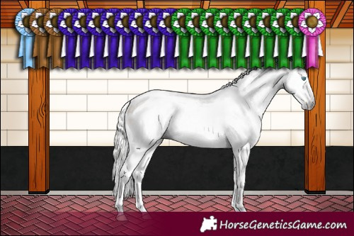 Horse Color:Gray Silver Classic Champagne Pearl Sabino Varnish