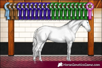 Horse Color:Gray Silver Classic Champagne Pearl Sabino Varnish 