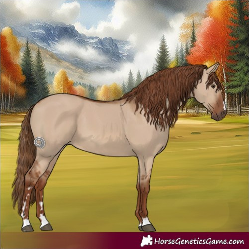 Horse Color:Red Dun 
