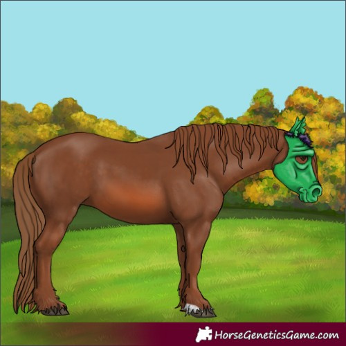 Horse Color:Unknown 