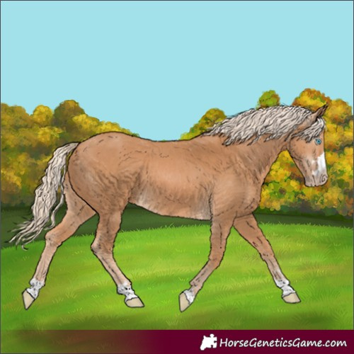 Horse Color:Gray Cremello Mushroom 