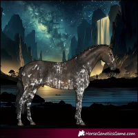 Horse Color:Gray White Spotted Brown and Gray White Spotted Brown Dun