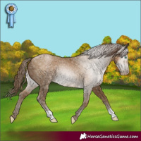 Horse Color:Gray Smoky Black Pearl
