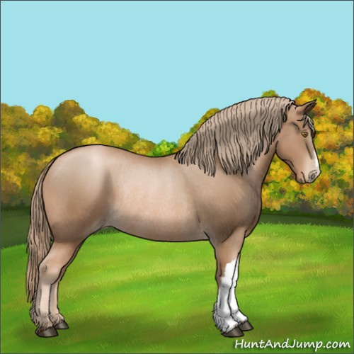 Horse Color:Liver Chestnut Pearl Rabicano