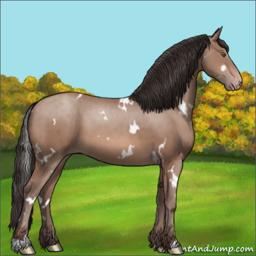 Horse Color:White Spotted Sable Champagne 