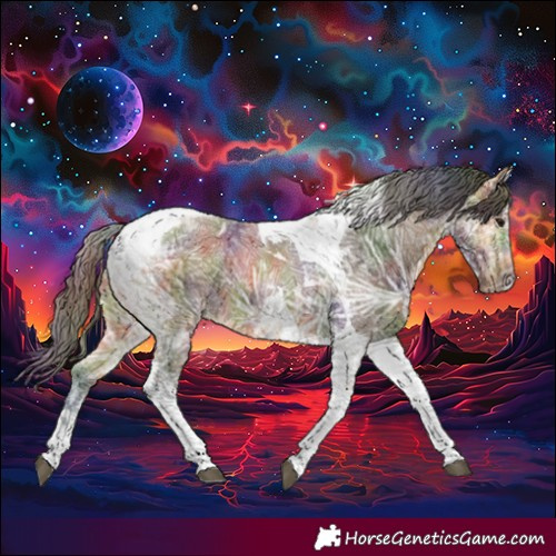 Horse Color:Nacre Buckskin Ice Tobiano 