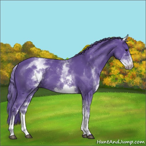Horse Color:Watercolor White Spotted Smoky Black 