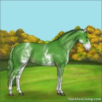 Horse Color:Watercolor White Spotted Liver Chestnut 