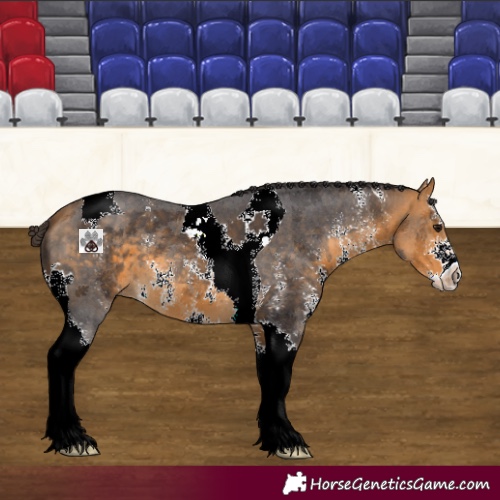 Horse Color:Buckskin Sabino Tobiano 