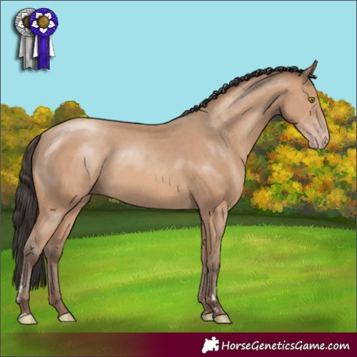 Horse Color:Amber Champagne 