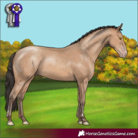 Horse Color:Amber Champagne 