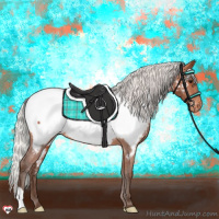 Horse Color:Silver Bay Appaloosa 
