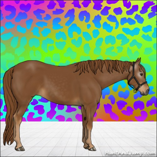 Horse Color:Gray Chestnut