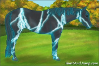 Horse Color:Thunderstruck Black 