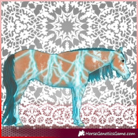 Horse Color:Thunderstruck Bay Sabino