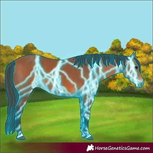 Horse Color:Thunderstruck Bay 
