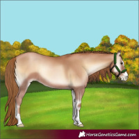 Horse Color:Red Onyx Pearl 