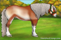 Horse Color:Silver Bay Onyx 