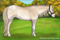 Horse Color:Red Onyx Pearl Mushroom Appaloosa