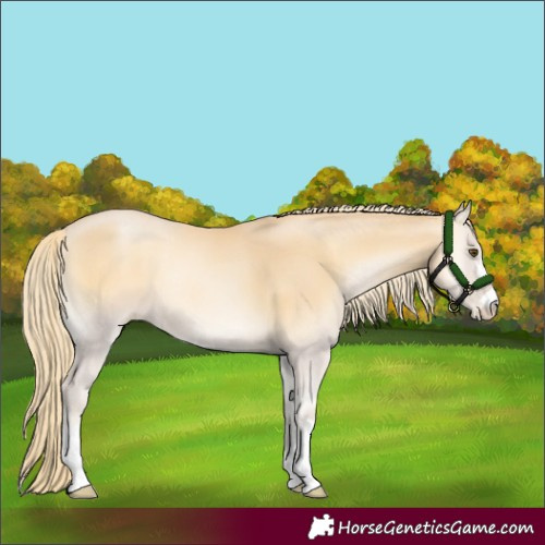 Horse Color:Red Onyx Pearl Mushroom 