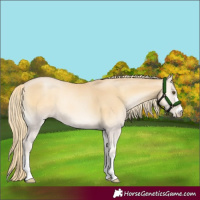 Horse Color:Red Onyx Pearl Mushroom 