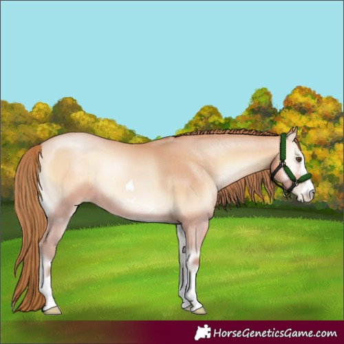 Horse Color:Bay Pearl Onyx Mushroom 