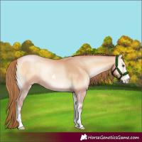 Horse Color:Bay Pearl Onyx Mushroom 