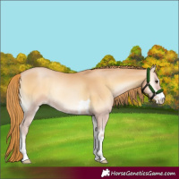 Horse Color:Red Onyx Pearl 