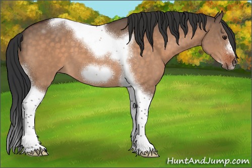 Horse Color:Bay Dun Tobiano Frame 
