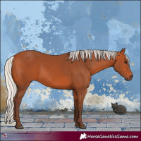 Horse Color:Silver Bay 