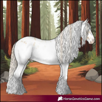 Horse Color:White Spotted Palomino Dun Appaloosa 