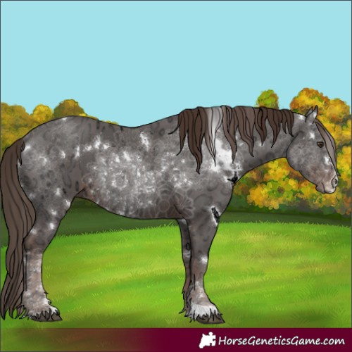 Horse Color:White Spotted Liver Chestnut Ice 