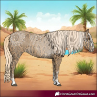 Horse Color:Palomino Ice