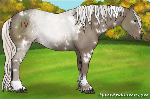 Horse Color:White Spotted Silver Black Tobiano 