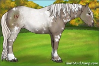 Horse Color:White Spotted Silver Black Tobiano 
