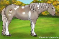 Horse Color:Chocolate Silver Grullo Tobiano 