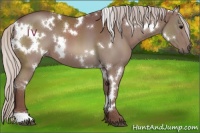 Horse Color:White Spotted Chocolate Silver Black 