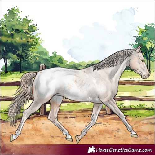 Horse Color:White Spotted Gold Champagne Near Fewspot