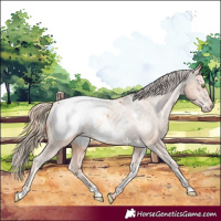 Horse Color:White Spotted Gold Champagne Near Fewspot 