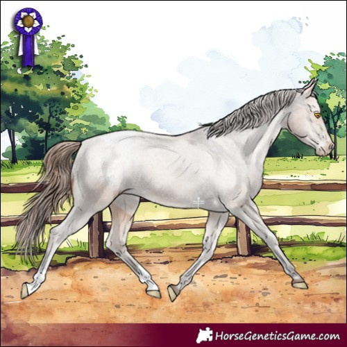 Horse Color:Amber Champagne Snowcap 