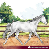 Horse Color:White Spotted Silver Amber Champagne Dun Near Leopard 